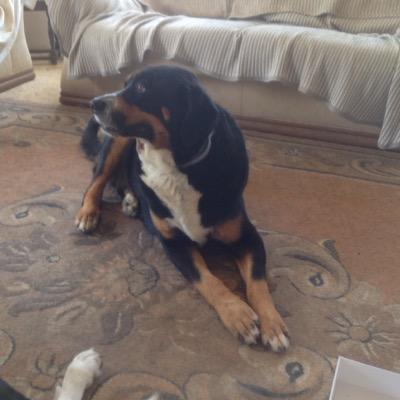 Profile Picture of Lynnette Richards (@lynn92940512) on Twitter