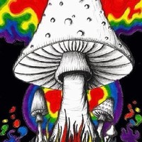 Austin Gall - Quora Profile Picture of Austin Gall (@austin-gall-1) on Quora