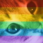 Profile Picture of 張巧佑 (@bacon_bruce) on Instagram