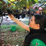 Profile Picture of Laura Santander (@laurisantander) on Instagram
