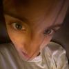 Profile Picture of Douglas Shrader (@douglasshrader) on Tiktok