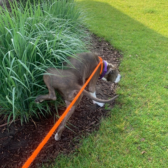 Profile Picture of Patricia Gogala (@patriciagogala) on Poshmark