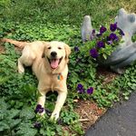 james bayer - Instagram Profile Picture of james bayer (@james_bayer17739) on Instagram