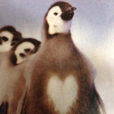 Profile Picture of Michael S (@MikeSant12) on Twitter