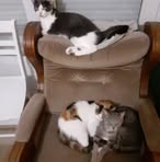 Profile Picture of David France (@David-France) on Facebook