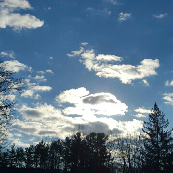 Sandra Braccio - Poshmark Profile Picture of Sandra Braccio (@sandybrac) on Poshmark