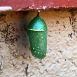 Profile Picture of Erik LuMaye (@e.j.lumaye) on Instagram