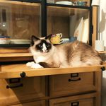 Profile Picture of Florence Briand (@briand6428) on Instagram