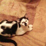 Profile Picture of Reagan Aubrey (@reaganstanford2013) on Instagram