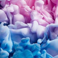 Profile Picture of Leila Wright (@leila-wright-13) on Quora