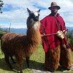 Profile Picture of Shawn Northrop (@shawnnorthrop) on Instagram