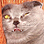 Profile Picture of Mikecan (@Mikecan) on Flickr