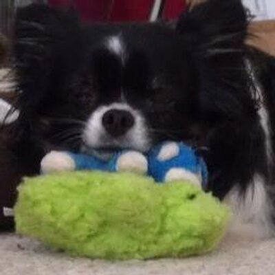 Profile Picture of Kim Stanfield (@kstanfield33) on Twitter