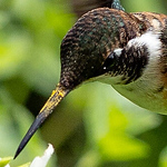 Profile Picture of william andrews (@will7474747) on Flickr