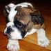Profile Picture of Bill Buresh (@bill.buresh) on Facebook