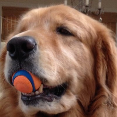 Profile Picture of Brian Mulvaney (@BrianGMulvaney) on Twitter