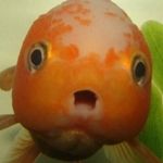 Profile Picture of philip carters (@philip.the.phish) on Instagram