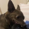Profile Picture of James OMalley (@@jamesomalley0) on Tiktok