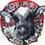 Profile Picture of Sivi-mari (@sivi-mari) on Flickr