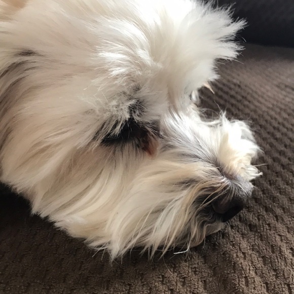 Profile Picture of Jeffrey Tait (@josyeet) on Poshmark