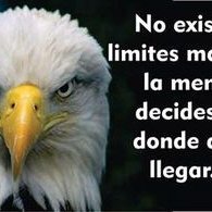 Profile Picture of Martin Resendiz (@marero690) on Twitter