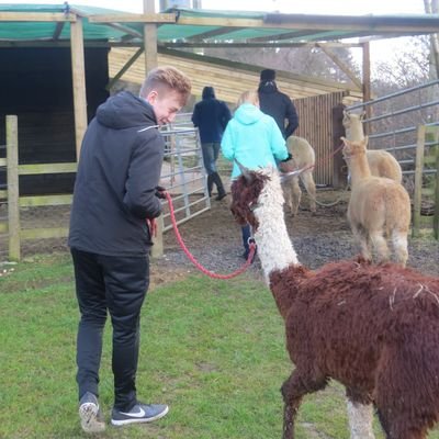 Profile Picture of Jeffers (@Alex85877240) on Twitter