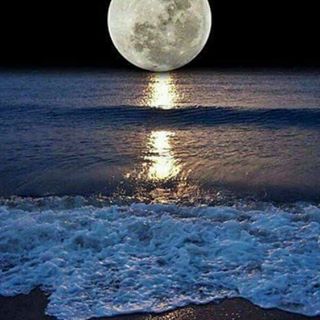 Profile Picture of Luz Gurrola (@luz.gurrola.545) on Facebook