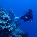 Profile Picture of Samuel Shan Onggo (@samuelshano) on Instagram