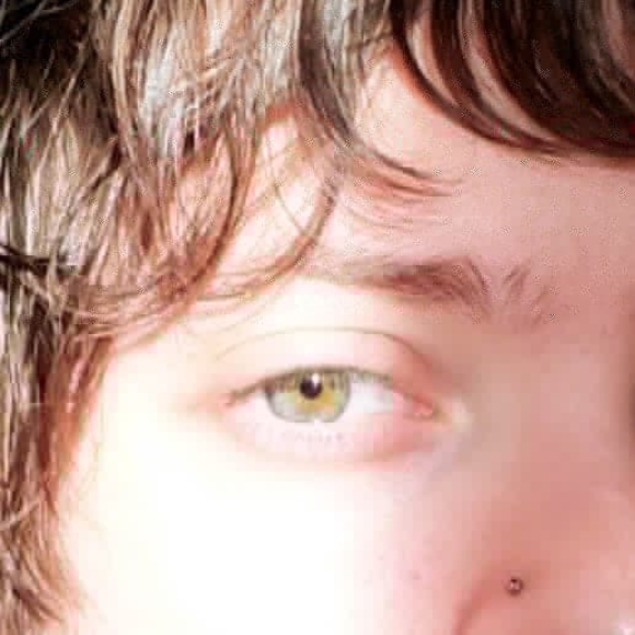 Samuel Donnelly - Poshmark Profile Picture of Samuel Donnelly (@sroseart) on Poshmark