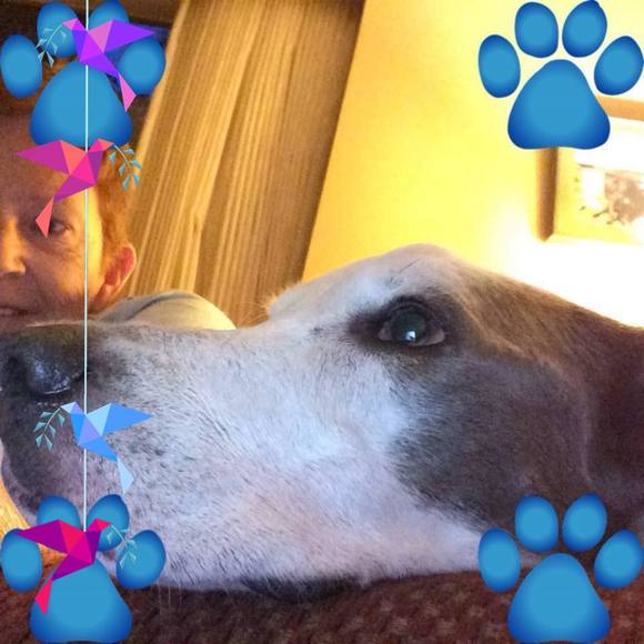 Profile Picture of Chris Malwitz (@liondude00) on Poshmark