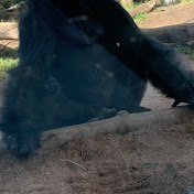 Profile Picture of Blake Perkins (@laceyperkins8738) on Youtube