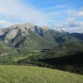 Profile Picture of Joseph Whitford (@JosephWhitford) on Twitter