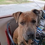 Profile Picture of Mark Hallowell (@mark.hallowell.407567) on Facebook