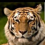 Profile Picture of Maninder (@mandy.isongram) on Instagram