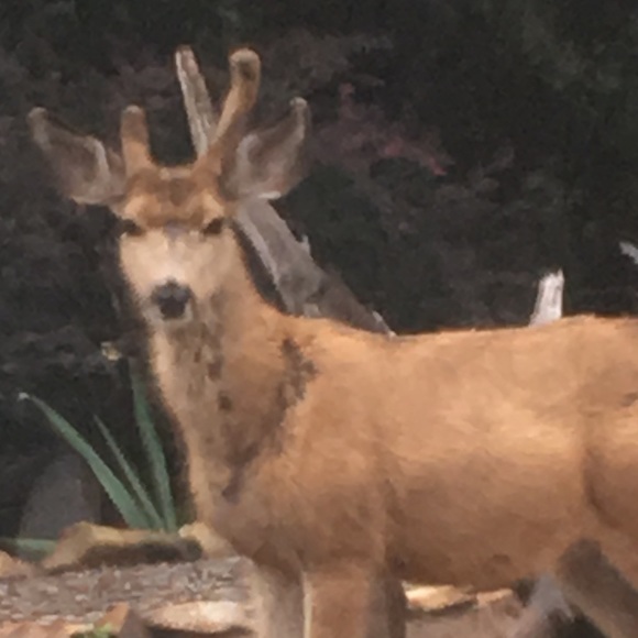 Profile Picture of Jack Franklin (@jackfranklin) on Poshmark