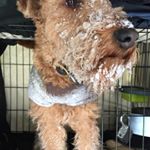 Profile Picture of Adrian Phillips (@adrianrphillips65) on Instagram