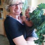 Profile Picture of Nancy Dougherty (@ncaversd) on Instagram