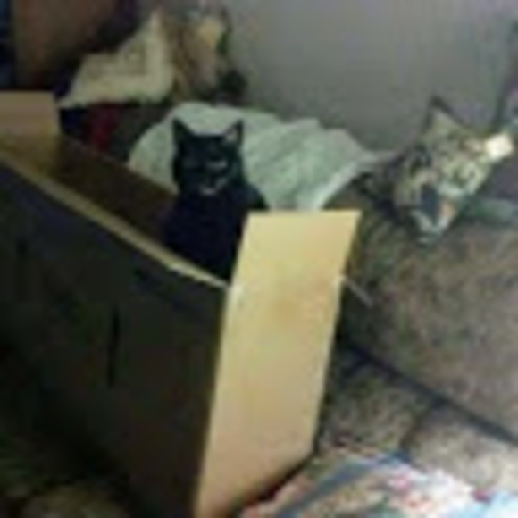 Profile Picture of Nancy Bowen (@nancybowen608) on Poshmark