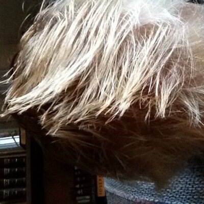 Profile Picture of Nathan Collard (@timewarp13rm) on Twitter