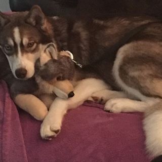 Profile Picture of Michael Koorey (@michael.koorey.5) on Facebook