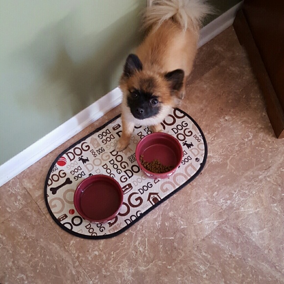 Profile Picture of Jenny Sobeck (@allyadam1) on Poshmark