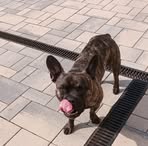 Profile Picture of Ilona Getschat (@Ilona-Getschat) on Facebook