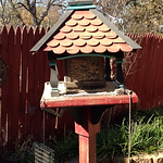 Profile Picture of Valerie Keith (@valeriedianekeith) on Flickr