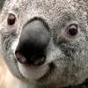 Profile Picture of Andrew Pye (@andrew.pye4) on Tiktok