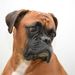 Profile Picture of efrain abrego (@miguelabrego2011) on Pinterest