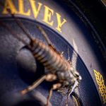 Profile Picture of Michael McGrath (@mcgrathandassociates) on Instagram