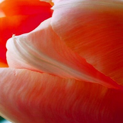 Profile Picture of Deborah Zanders (@@zanders05) on Twitter