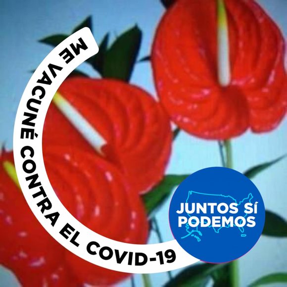 Profile Picture of Felix Zapata (@zapatafelix_1) on Poshmark