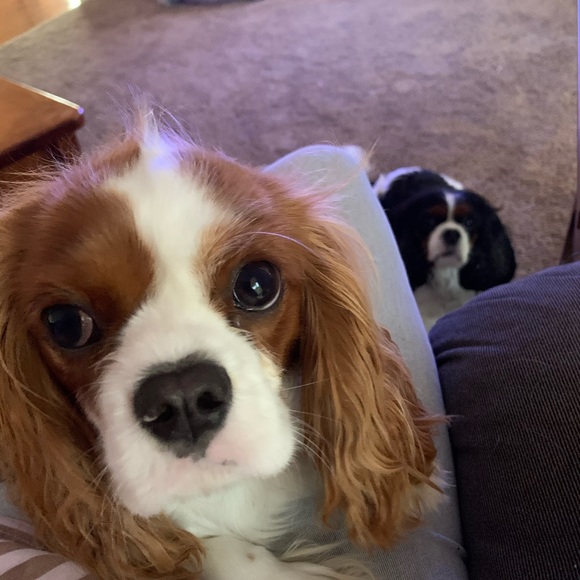 Michele Bonaddio - Poshmark Profile Picture of Michele Bonaddio (@michelebonaddio) on Poshmark