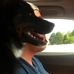 Profile Picture of Jeff Brigham Sivers (@jeff.sivers) on Facebook